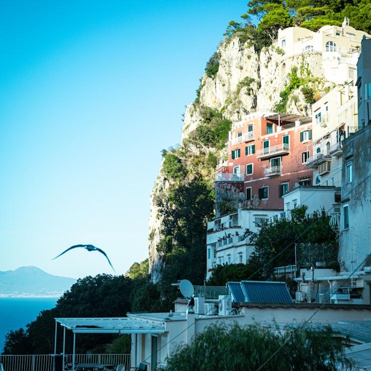 Family terraces and cafés for calm evenings in Firenze